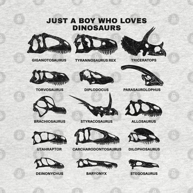 Types of Dinosaurs Just a boy who loves dinosaurs by NicGrayTees